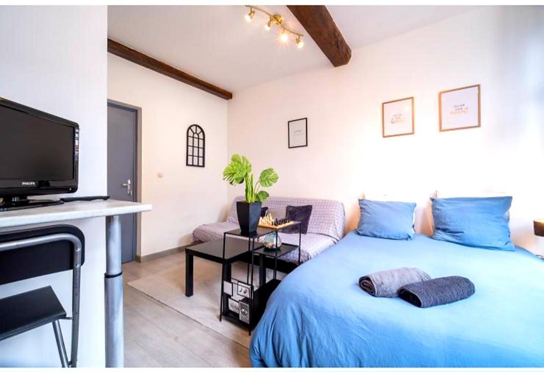 Apartament La Belle Niche Lille Zewnętrze zdjęcie