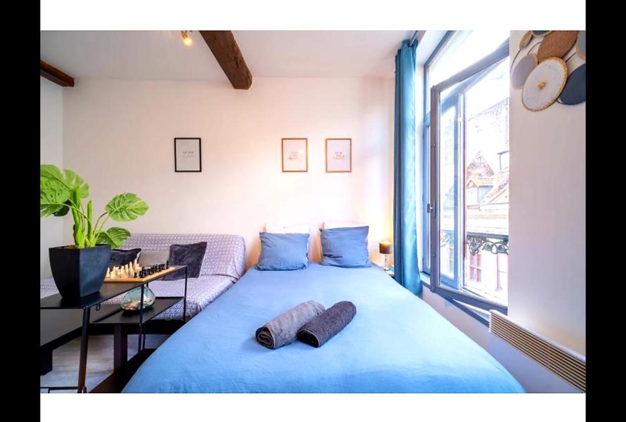 Apartament La Belle Niche Lille Zewnętrze zdjęcie